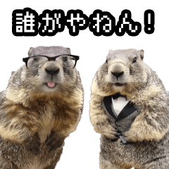 Marmot, the Comic Marmot Part2