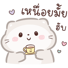 แมวทูน่า : น่ารัก