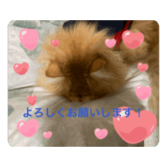 iku_20250813212710