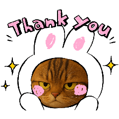 喵喵喵喵喵喵！！！