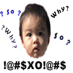 Baby bear 4