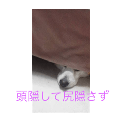 AYUMI_20250813153743