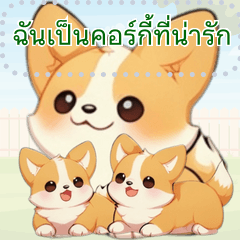 ชีวิตประจำวันของคอร์กี้สุดน่ารัก (MT1)