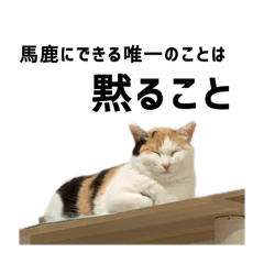 m_20250813132647