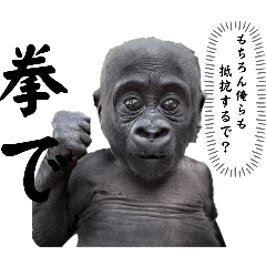 carrot_20250813193231