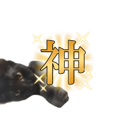 nanako_20250813204728