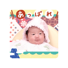 suzu0813