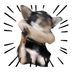 sugar_20250813202613