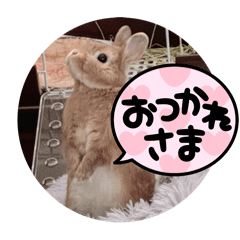 haru's sticker_20250811224016