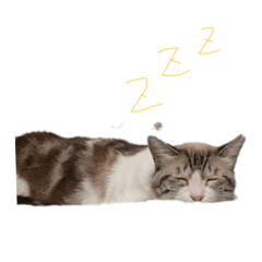 takeko_20250814070128