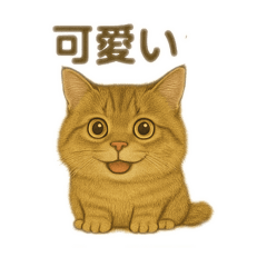 natsu_20250814082532