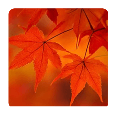 kurumi_20250813185527