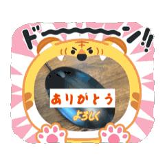 Hello_20250814112857