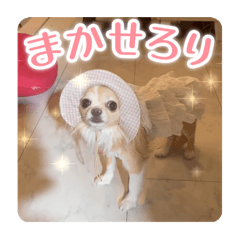 omochi_20250814115118