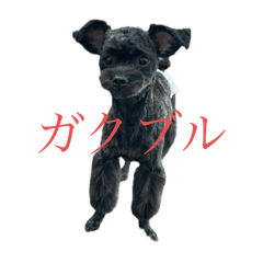 Nitamago_20250813222931