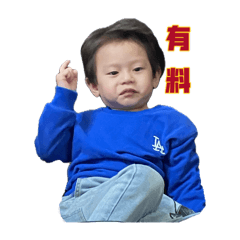 小鑫鑫日常生活