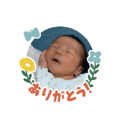 sevenseas_20250814095513