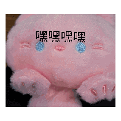 小貓貓咪咪