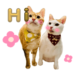 ㄅㄨㄅㄨ&ㄐㄧㄤㄐㄧㄤ特輯