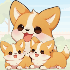 Cute Corgi Daily Life 3