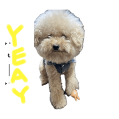 nagisa_20250812181655