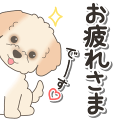 やさしいマルプー『仕事＆連絡』