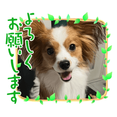 Natsumi_20250814002502