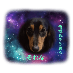 julia_20250811193734