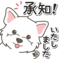 やさしいウエスティ【仕事＆連絡】