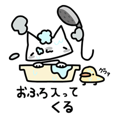 Everyday Life of Shiro Neko Salt