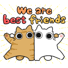 Red tabby chubby cat (Friend)