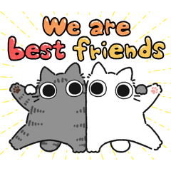 Silver tabby chubby cat (Friend)