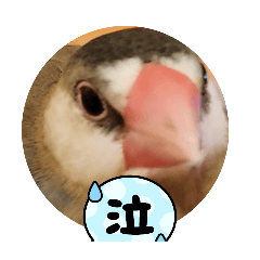 Unicorn_20250814182131