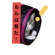 Nana and Lulu's daily life