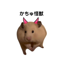 CHIHIRO_20250814164129