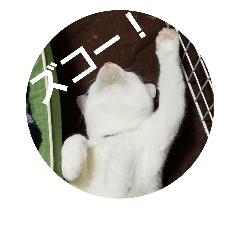 happy cats sticker (5)