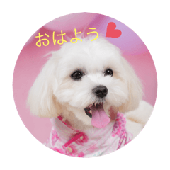 Nozomi_20250814112315