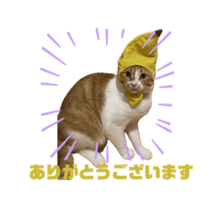 yamada_20250814210345