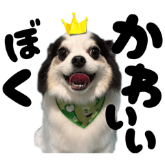 natsu_20250814023212