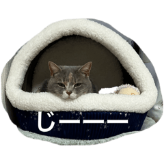 yurika_20250814044708