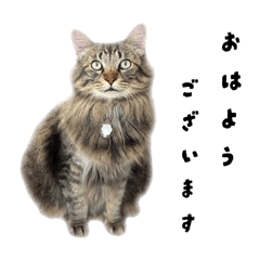 damdam_20250814203651