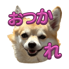 nanako_20250814090939