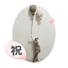 Kasumi_20250814110154