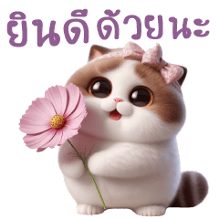 เหมียวอ้วน เหมียวตุ๊ต๊ะน่ารัก