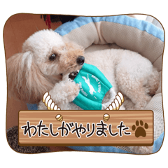 Lulu_20250814214653