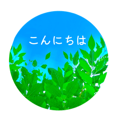 HIMAWARI_20250814124900