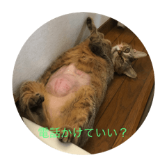 Karin_20250814105251