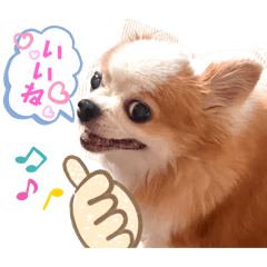 Yukie_20250814133055