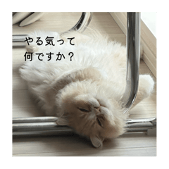 Kanae_20250814132950