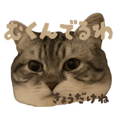 Nanako_20250814132815